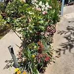 Cuore Del Cilento 3* Laureana Cilento