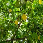 Cuore Del Cilento Panzió