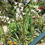 Panzió Cuore Del Cilento Laureana Cilento