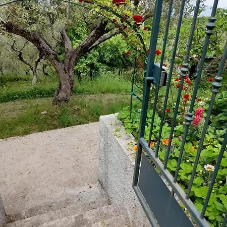 ベッド・アンド・ブレックファスト Cuore Del Cilento