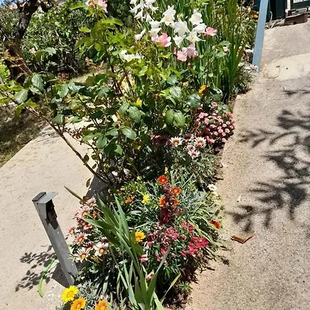 Cuore Del Cilento 3* Laureana Cilento