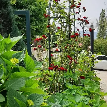 ベッド・アンド・ブレックファスト Cuore Del Cilento