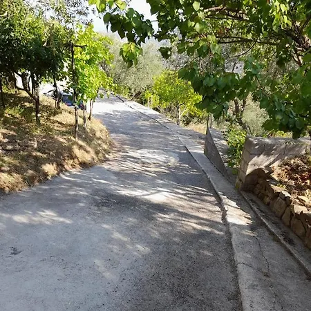 Cuore Del Cilento ベッド・アンド・ブレックファスト 3*