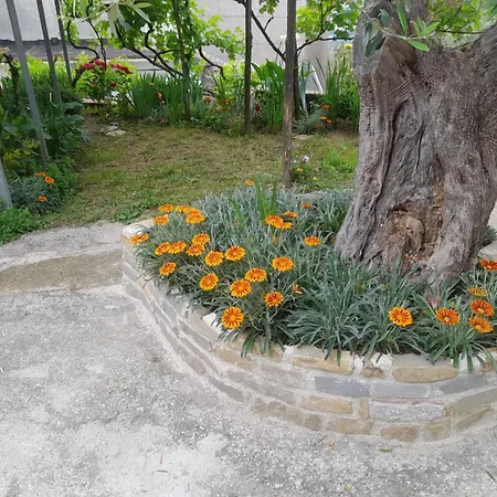 Cuore Del Cilento * Laureana Cilento